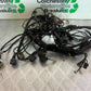 MV AGUSTA 800 F3 WIRING LOOM YEAR 2013-2016 (CMB1152)