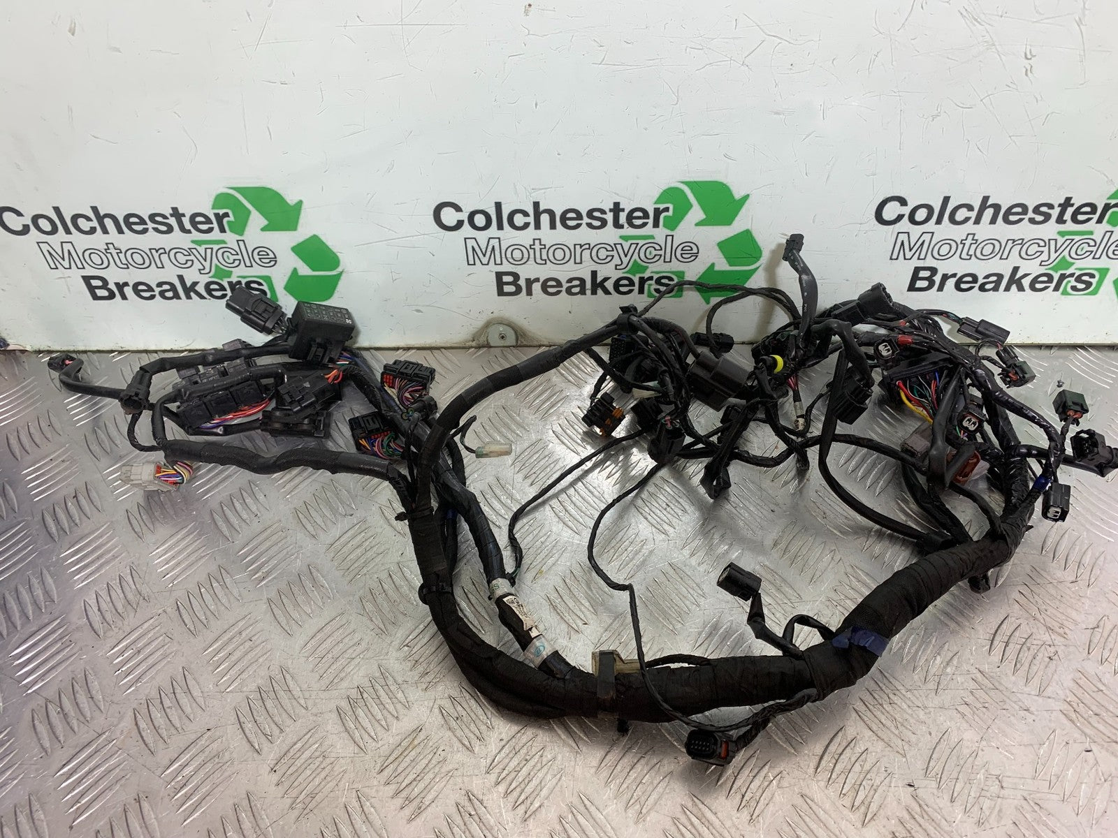 TRIUMPH TRIDENT 660 WIRING LOOM   YEAR 2021-2024 (CMB1295)