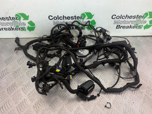 BMW K1300 S K 1300 S WIRING LOOM YEAR 2009-16 (CMB1216)