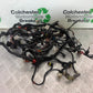 PIAGGIO VESPA GTS 125 WIRING LOOM  YEAR 2009-2014  (CMB1261)