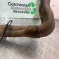 HONDA CBR1000 rr FIREBLADE  EXHAUST 2017-2019 (CMB1280)