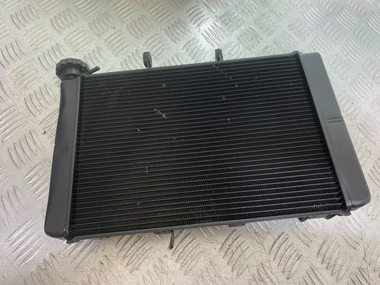 TRIUMPH TRIDENT 660 RADIATOR  YEAR 2021-2024 (CMB1295)