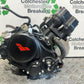 LEXMOTO LXR 125 ENGINE MOTOR YEAR 2019-2023 (CMB1076)